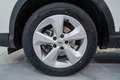 Nissan Qashqai 1.5dCi Acenta 4x2 85kW Blanco - thumbnail 11