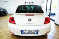 Volkswagen Maggiolino 2.0 TDI DSG Fender Edition Bianco - thumbnail 15