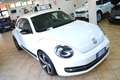 Volkswagen Maggiolino 2.0 TDI DSG Fender Edition Bianco - thumbnail 2