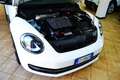 Volkswagen Maggiolino 2.0 TDI DSG Fender Edition Blanc - thumbnail 16