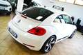 Volkswagen Maggiolino 2.0 TDI DSG Fender Edition Bianco - thumbnail 3