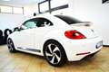 Volkswagen Maggiolino 2.0 TDI DSG Fender Edition Bianco - thumbnail 4