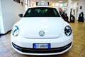 Volkswagen Maggiolino 2.0 TDI DSG Fender Edition Bianco - thumbnail 14