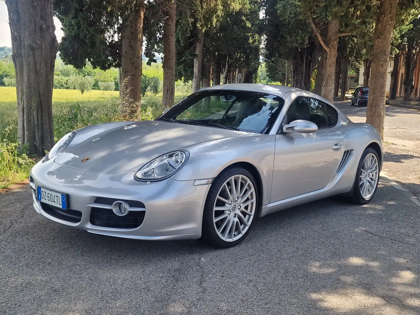 Porsche Cayman Cayman 3.4 S - Top Conditions Plateado - 1