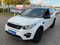 Land Rover Discovery Sport HSE SD4 SD240 AWD*BLACK EDITION* Weiß - thumbnail 7