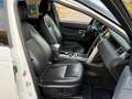Land Rover Discovery Sport HSE SD4 SD240 AWD*BLACK EDITION* Weiß - thumbnail 12