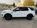 Land Rover Discovery Sport HSE SD4 SD240 AWD*BLACK EDITION* Weiß - thumbnail 4