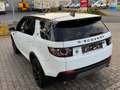 Land Rover Discovery Sport HSE SD4 SD240 AWD*BLACK EDITION* Weiß - thumbnail 8