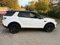 Land Rover Discovery Sport HSE SD4 SD240 AWD*BLACK EDITION* Weiß - thumbnail 5