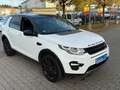 Land Rover Discovery Sport HSE SD4 SD240 AWD*BLACK EDITION* Weiß - thumbnail 19