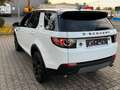 Land Rover Discovery Sport HSE SD4 SD240 AWD*BLACK EDITION* Weiß - thumbnail 29