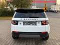 Land Rover Discovery Sport HSE SD4 SD240 AWD*BLACK EDITION* Weiß - thumbnail 9