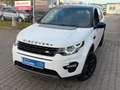 Land Rover Discovery Sport HSE SD4 SD240 AWD*BLACK EDITION* Weiß - thumbnail 3