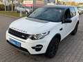Land Rover Discovery Sport HSE SD4 SD240 AWD*BLACK EDITION* Weiß - thumbnail 24