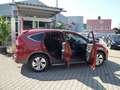 Honda CR-V 2.0i-VTEC 4WD Automatik Lifestyle Plus Rojo - thumbnail 5