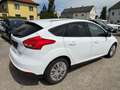 Ford Focus 1,0 Trend *Zahnriemen NEU!*RFK* Weiß - thumbnail 4