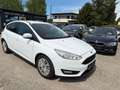 Ford Focus 1,0 Trend *Zahnriemen NEU!*RFK* Weiß - thumbnail 1