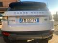 Land Rover Range Rover Evoque Range Rover Evoque 5p 2.2 td4 Prestige 150cv Blanc - thumbnail 9