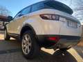 Land Rover Range Rover Evoque Range Rover Evoque 5p 2.2 td4 Prestige 150cv Weiß - thumbnail 11