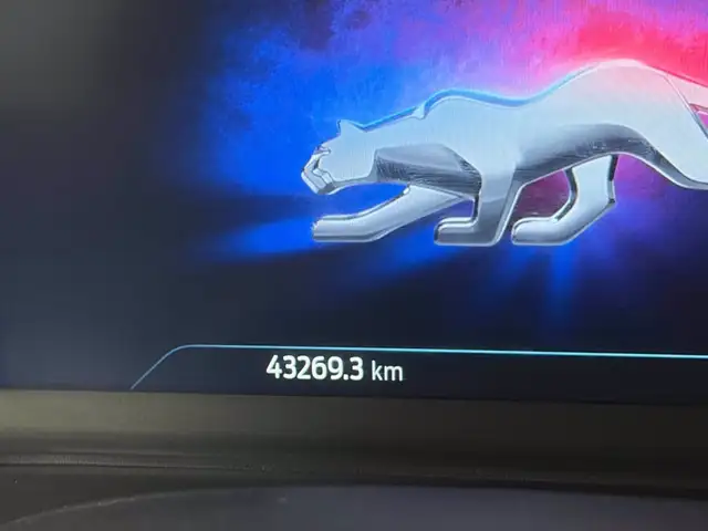 Ford Puma view 16