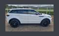 Land Rover Range Rover Evoque 2.0 TD4 150 SE DYNAMIC BVA MARK III Weiß - thumbnail 20