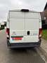 Citroen Jumper CHASSIS CAB 33 L2 BLUEHDi 130 BVM6 CONFORT - thumbnail 4