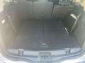 Ford S-Max S-Max II 2.0 tdci Titanium Business 7 posti Argento - thumbnail 10