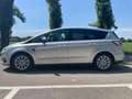 Ford S-Max S-Max II 2.0 tdci Titanium Business 7 posti Argento - thumbnail 8