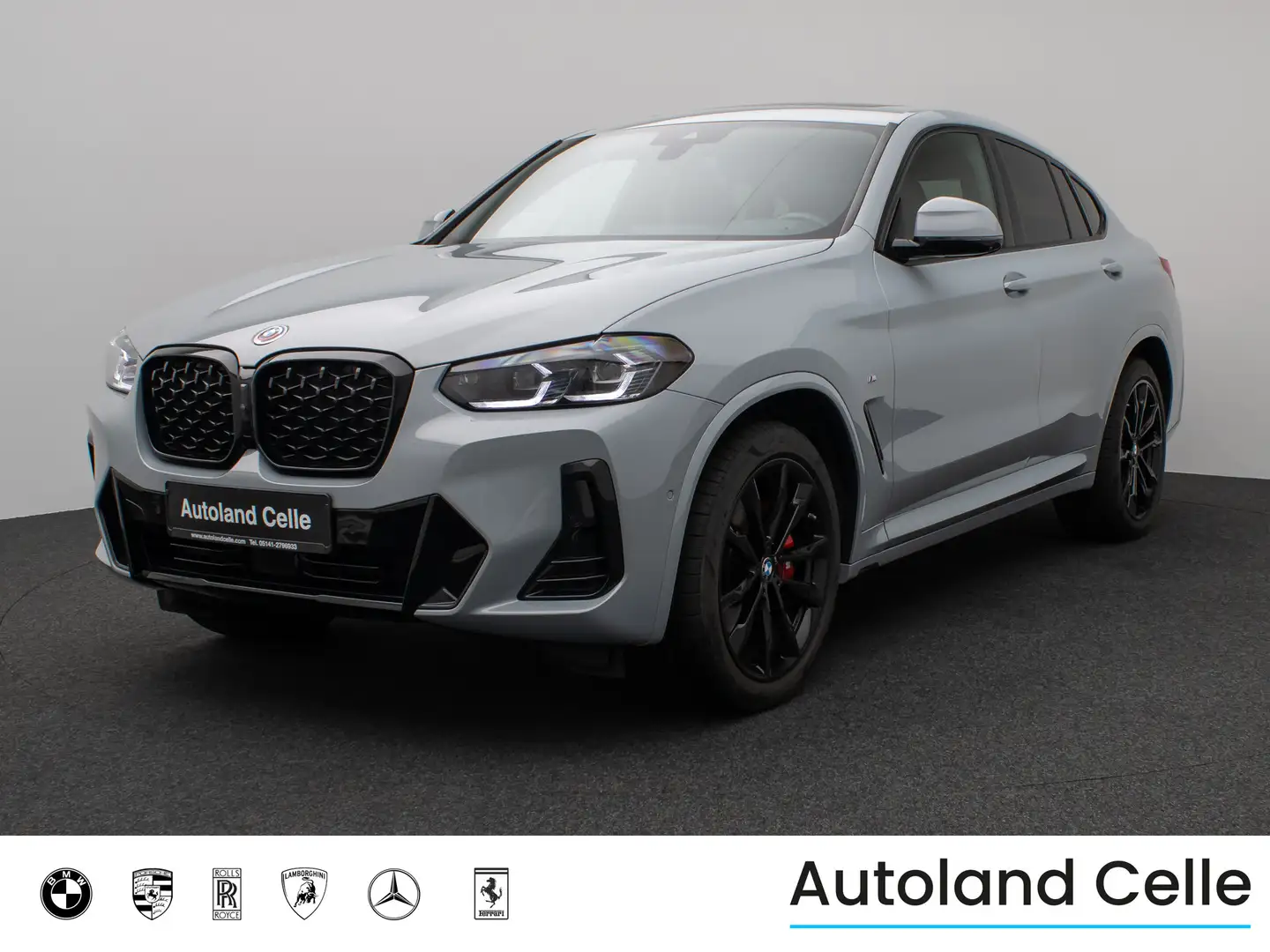 BMW X4 xD30i M Sport Panorama 360°DAB H K AHK Komfor Gris - 1