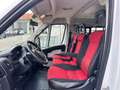 Fiat Ducato 2.3 mtj Panorama 9 posti trasporto disabili Blanco - thumbnail 3