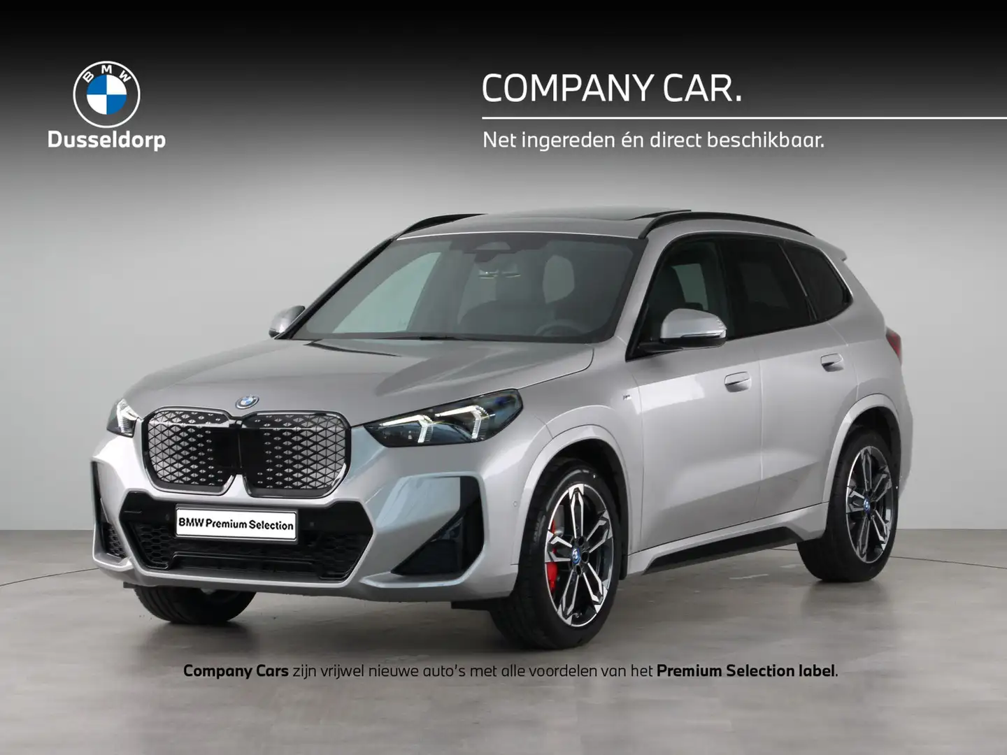 BMW iX1 eDrive20 67 kWh Argent - 1