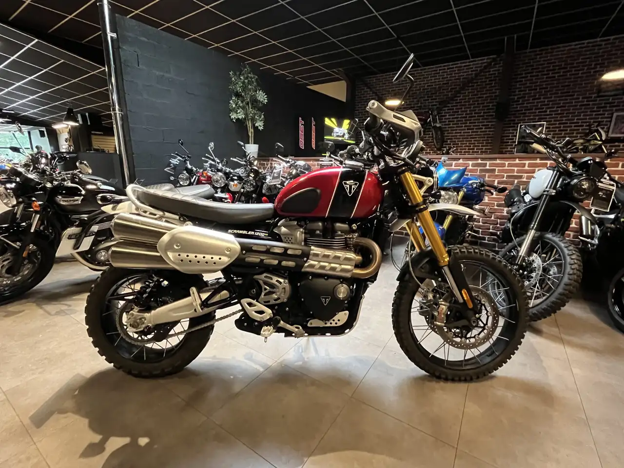 Triumph Scrambler