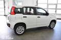 Fiat Panda 0.9 TwinAir Turbo Natural Power Easy Wit - thumbnail 6