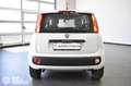 Fiat Panda 0.9 TwinAir Turbo Natural Power Easy Wit - thumbnail 5