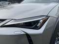 Lexus UX 250h Business Line NIEUW-TYPE BLIND SPOT PARK-SENSOREN Grijs - thumbnail 10