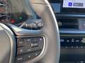 Lexus UX 250h Business Line NIEUW-TYPE BLIND SPOT PARK-SENSOREN Grijs - thumbnail 21