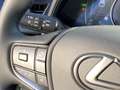 Lexus UX 250h Business Line NIEUW-TYPE BLIND SPOT PARK-SENSOREN Grijs - thumbnail 20