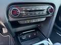 Kia ProCeed / pro_cee'd ProCeed GT-Line Automatik LED DAB Navi 0km Grau - thumbnail 8