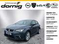 SEAT Ibiza FR-Line,Kamera,Navi,SHZ Grau - thumbnail 1