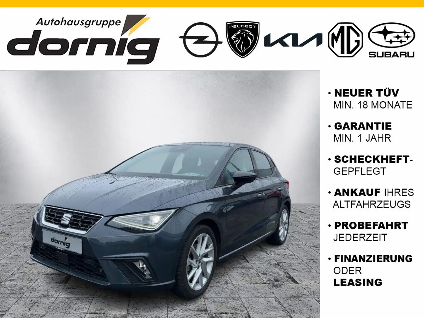 SEAT Ibiza FR-Line,Kamera,Navi,SHZ Grau - 1