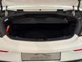 Mercedes-Benz C 400 C -Klasse Cabrio 4Matic Blanco - thumbnail 35