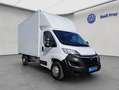 Opel Movano 2.2 D L4H1 2WD VA Edition Kofferaufbau Wit - thumbnail 8