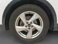 Audi Q3 ADVANCED 35 TDI 110(150) KW(CV) S TRONIC Wit - thumbnail 12