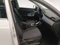 Audi Q3 ADVANCED 35 TDI 110(150) KW(CV) S TRONIC Wit - thumbnail 6