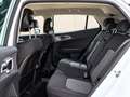 Kia Sportage 1.6 CRDi MHEV Business 4x4 136 Blanco - thumbnail 36