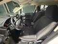 Ford EcoSport 1.0 EcoBoost Trend 125 Blanco - thumbnail 13