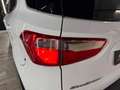 Ford EcoSport 1.0 EcoBoost Trend 125 Blanco - thumbnail 14