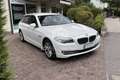 BMW 525 525d xDrive Touring Futura Wit - thumbnail 3