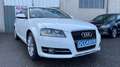 Audi A3 A3 1.6 TDI Attraction S-Tronic A Blanc - thumbnail 1