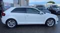Audi A3 A3 1.6 TDI Attraction S-Tronic A Blanc - thumbnail 12